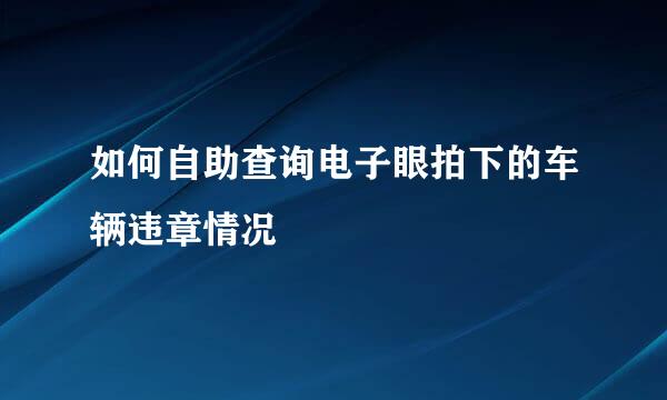 如何自助查询电子眼拍下的车辆违章情况