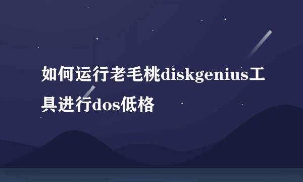 如何运行老毛桃diskgenius工具进行dos低格