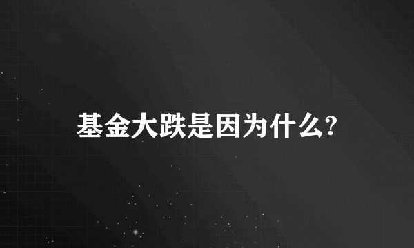 基金大跌是因为什么?