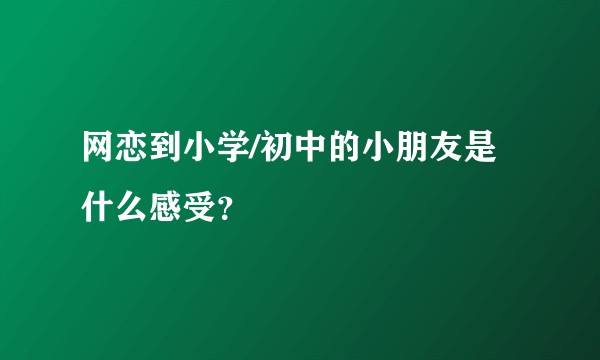 网恋到小学/初中的小朋友是什么感受？