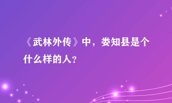 《武林外传》中，娄知县是个什么样的人？