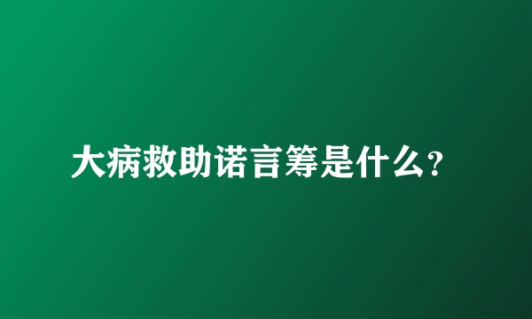 大病救助诺言筹是什么？