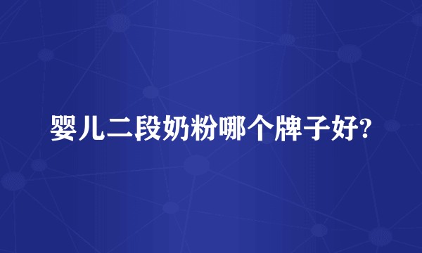 婴儿二段奶粉哪个牌子好?