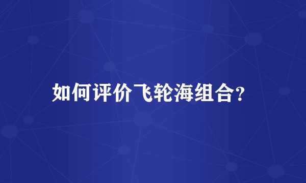 如何评价飞轮海组合?