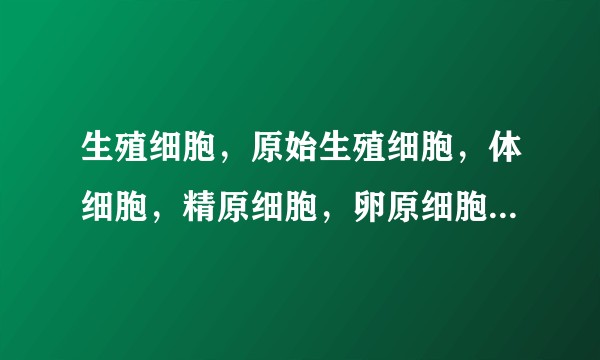 生殖细胞，原始生殖细胞，体细胞，精原细胞，卵原细胞，之间什么关系？