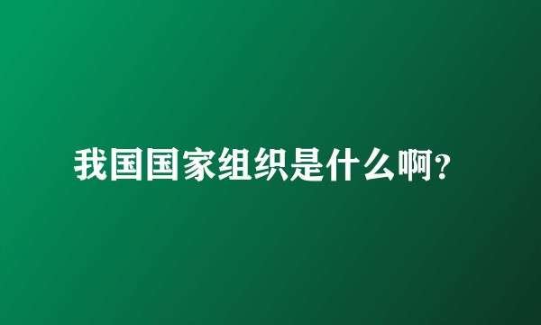 我国国家组织是什么啊？