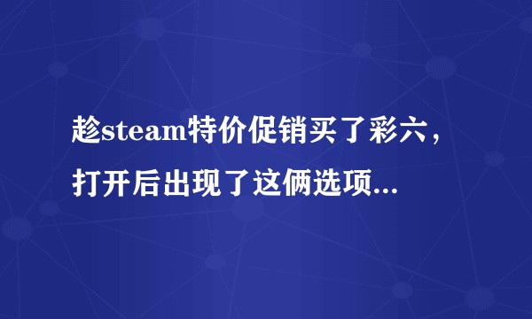 趁steam特价促销买了彩六，打开后出现了这俩选项，请问第二个是什么？