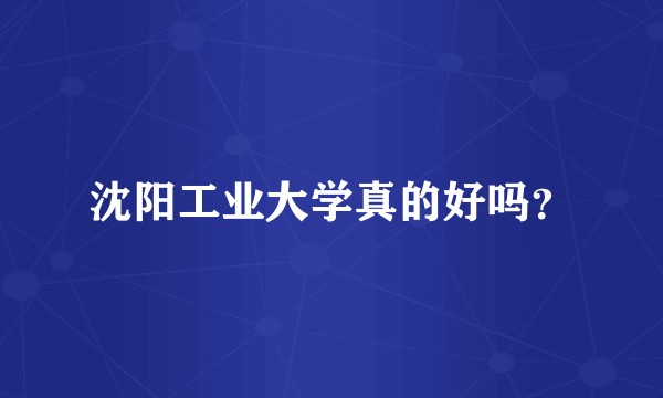 沈阳工业大学真的好吗？