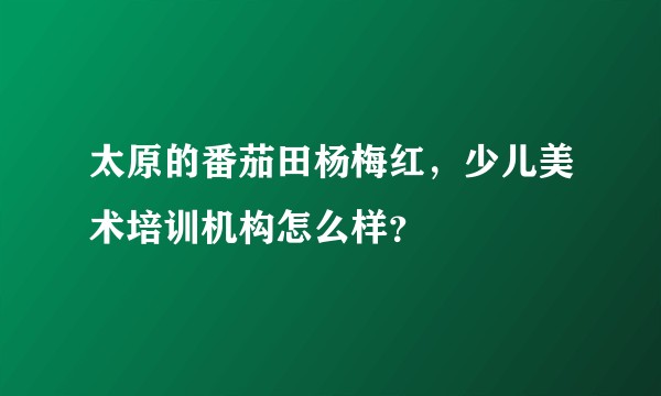 太原的番茄田杨梅红，少儿美术培训机构怎么样？