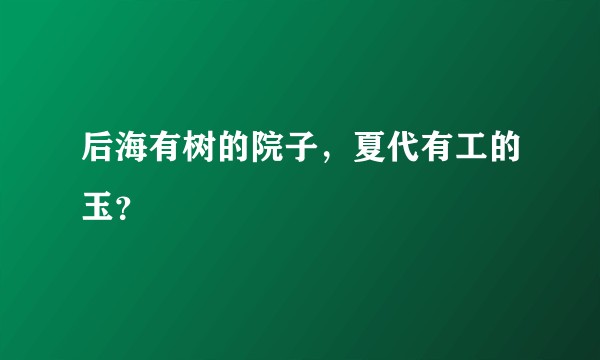 后海有树的院子，夏代有工的玉？