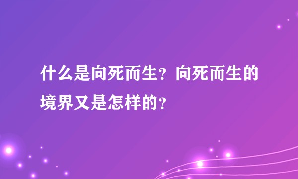 什么是向死而生？向死而生的境界又是怎样的？
