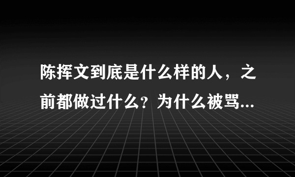 陈挥文到底是什么样的人，之前都做过什么？为什么被骂反复横跳？