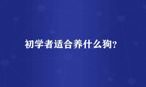 初学者适合养什么狗？