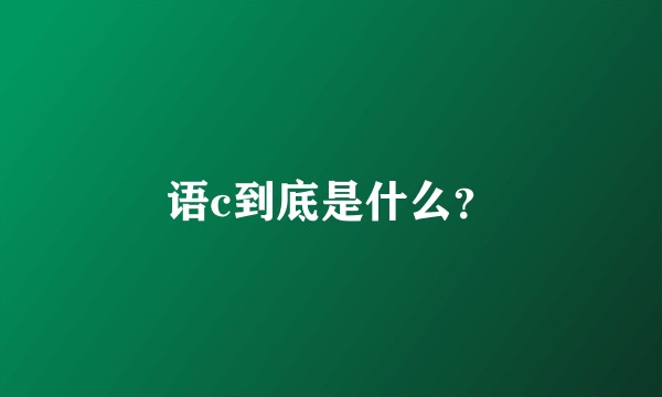 语c到底是什么？
