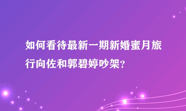 如何看待最新一期新婚蜜月旅行向佐和郭碧婷吵架？
