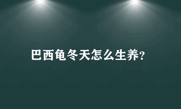 巴西龟冬天怎么生养？