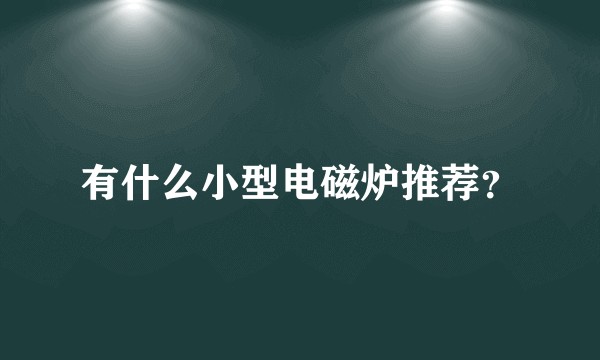 有什么小型电磁炉推荐?