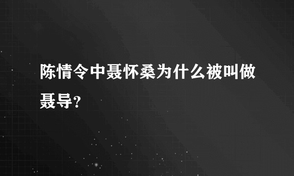 陈情令中聂怀桑为什么被叫做聂导？