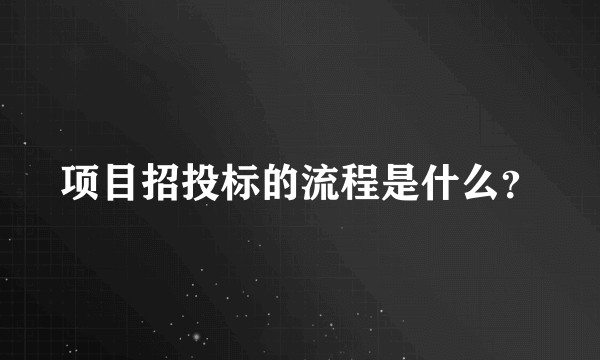 项目招投标的流程是什么？
