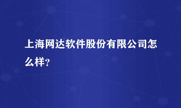 上海网达软件股份有限公司怎么样?