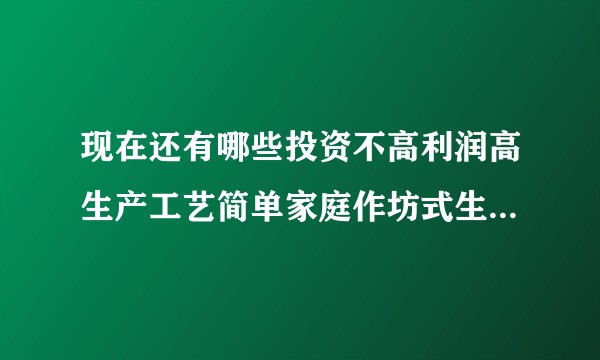 现在还有哪些投资不高利润高生产工艺简单家庭作坊式生产的小工厂或者第三产业的项目？