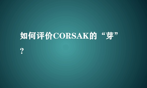 如何评价CORSAK的“芽”？