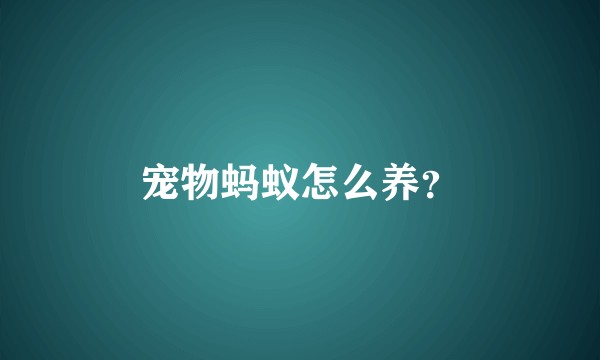 宠物蚂蚁怎么养？