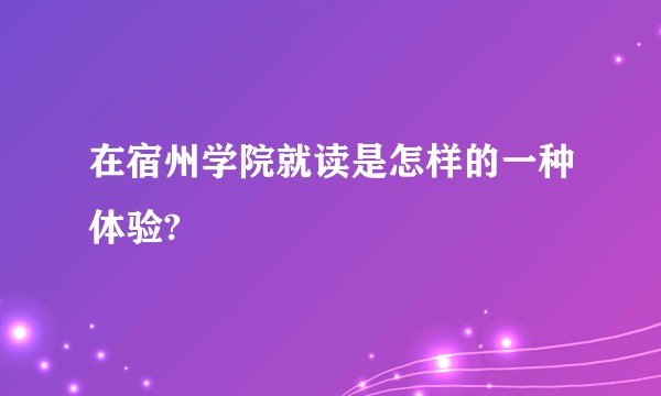 在宿州学院就读是怎样的一种体验?