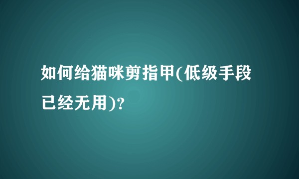 如何给猫咪剪指甲(低级手段已经无用)?
