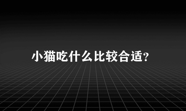 小猫吃什么比较合适?