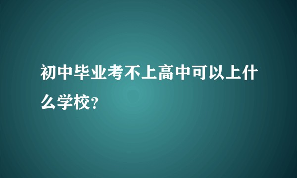 初中毕业考不上高中可以上什么学校？