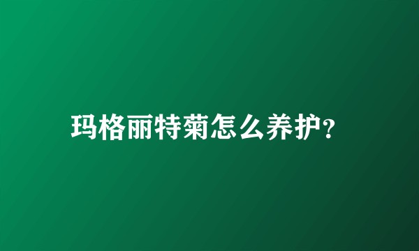 玛格丽特菊怎么养护？