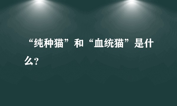 “纯种猫”和“血统猫”是什么？