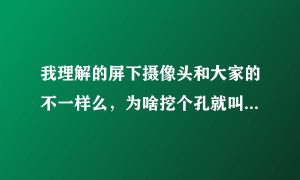 我理解的屏下摄像头和大家的不一样么，为啥挖个孔就叫屏下摄像头了？