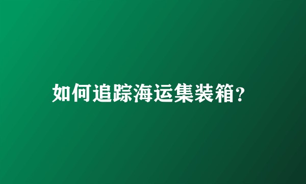 如何追踪海运集装箱？