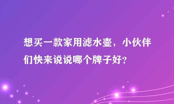 想买一款家用滤水壶,小伙伴们快来说说哪个牌子好?