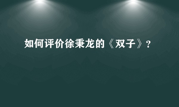 如何评价徐秉龙的《双子》？