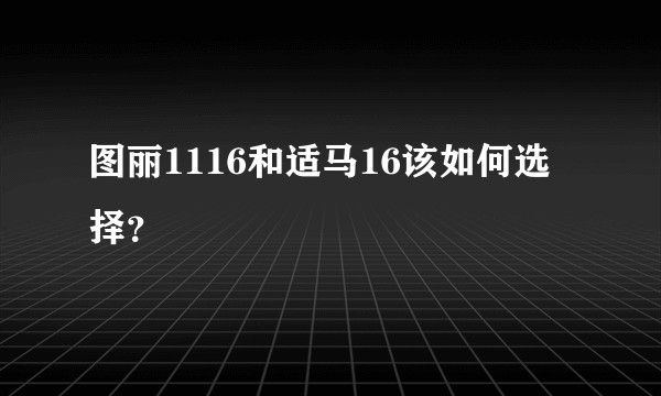 图丽1116和适马16该如何选择？