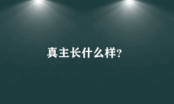 真主长什么样？
