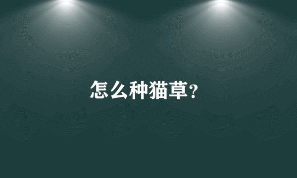 怎么种猫草?