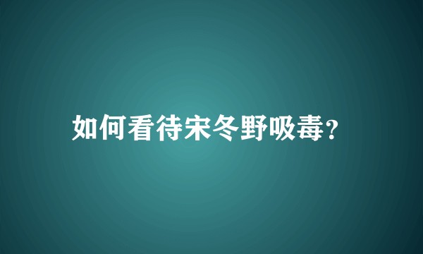 如何看待宋冬野吸毒？