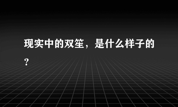 现实中的双笙，是什么样子的？