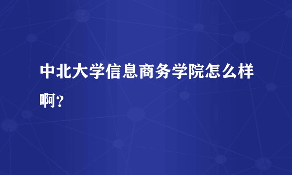 中北大学信息商务学院怎么样啊?