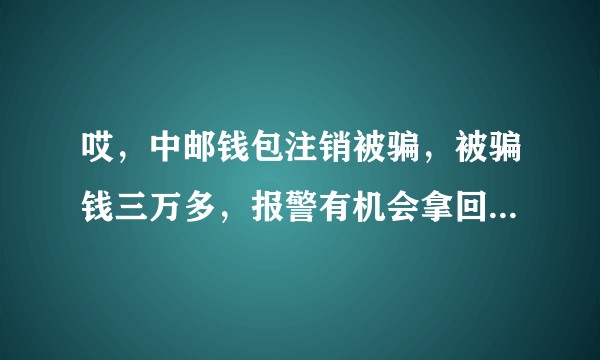 哎，中邮钱包注销被骗，被骗钱三万多，报警有机会拿回来了吗？现在睡觉都不踏实了，还得自己慢慢还贷款……?
