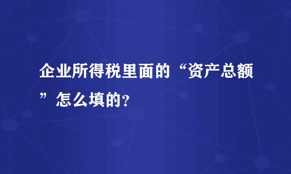 企业所得税里面的“资产总额”怎么填的？