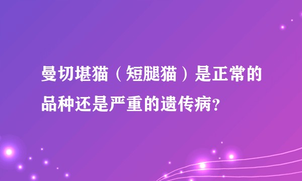 曼切堪猫(短腿猫)是正常的品种还是严重的遗传病?