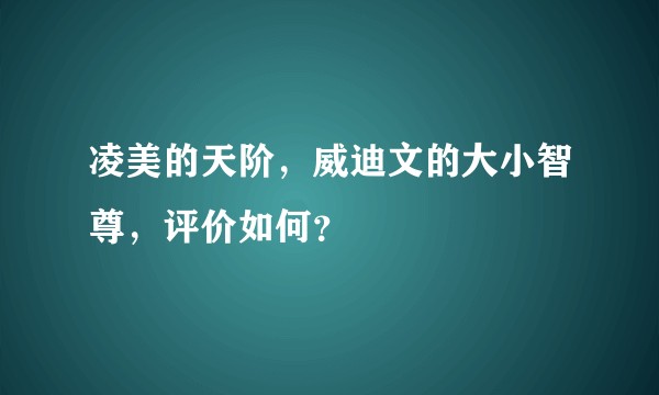 凌美的天阶，威迪文的大小智尊，评价如何？