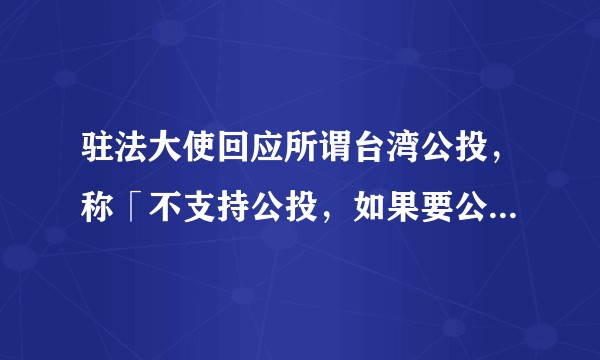 驻法大使回应所谓台湾公投，称「不支持公投，如果要公投，那就 14 亿人投」，还有哪些信息值得注意？