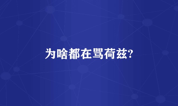 为啥都在骂荷兹?