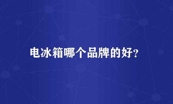 电冰箱哪个品牌的好？